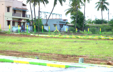 KMB GARDEN