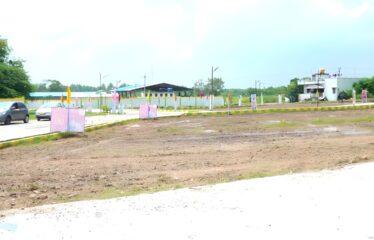 KMB GARDEN