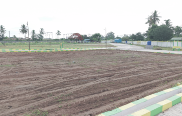 KMB GARDEN